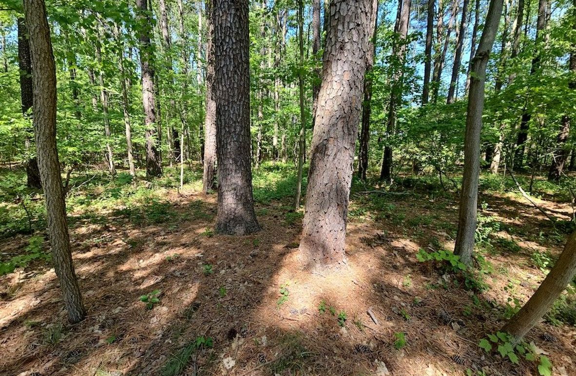 2.72ac_St Marys Rd_QAnnes_01_MAIN PHOTO