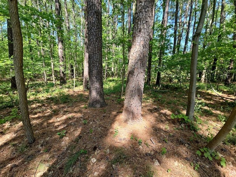 2.72ac_St Marys Rd_QAnnes_01_MAIN PHOTO