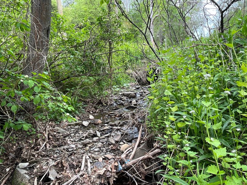 Tioga_18.72_Coulson Photo 32