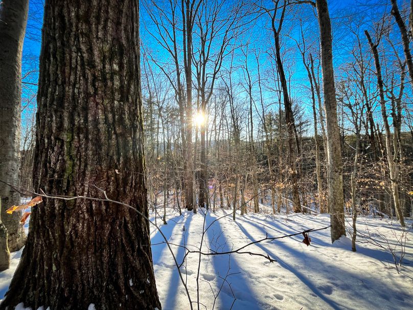 Tioga_11.9_Kilroy_Photos_35