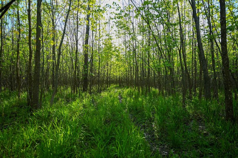 vandalia 450 (2)-3024