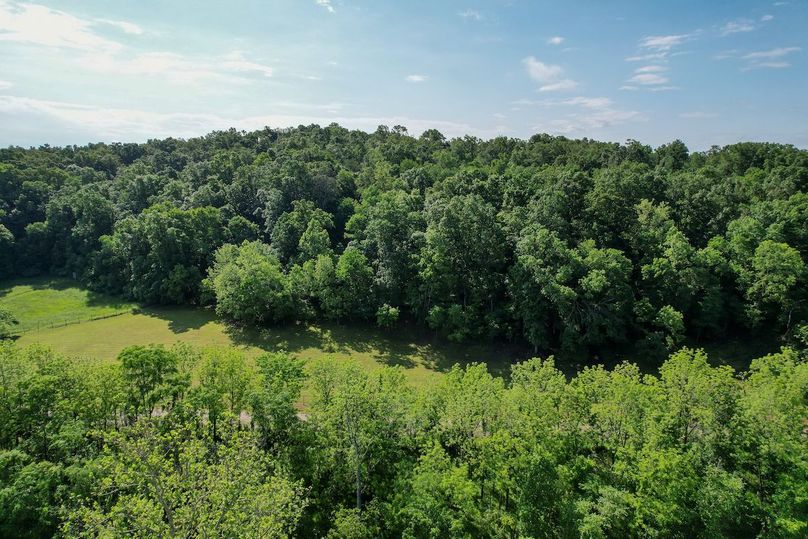 DJI_0351