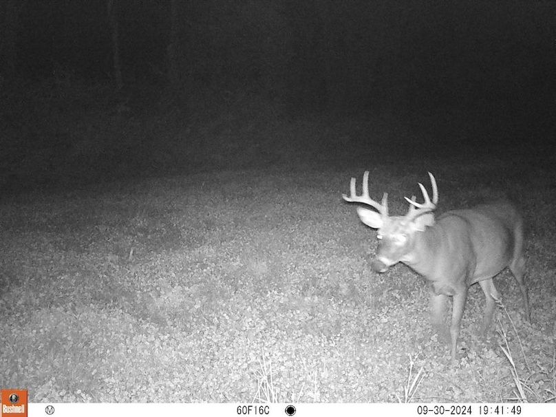 Tioga_104_Peake_ScoutingCam_6