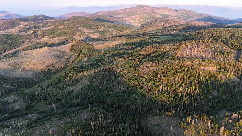 DJI_20250628063412_0131_D