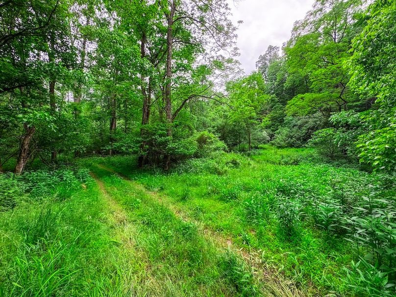 Tyler, WV 313.87 AC -40