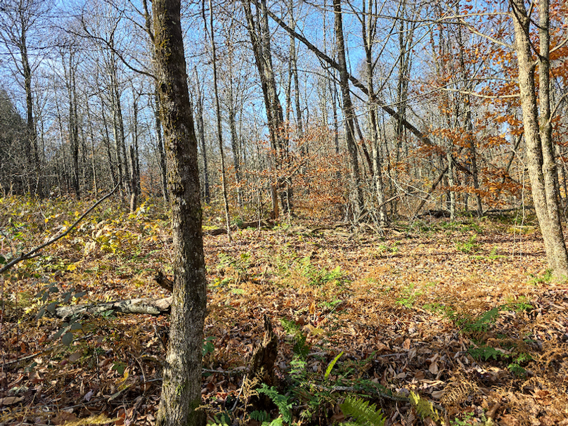 photo_32d8f2b8-d65f-45c0-b136-71846a570d37