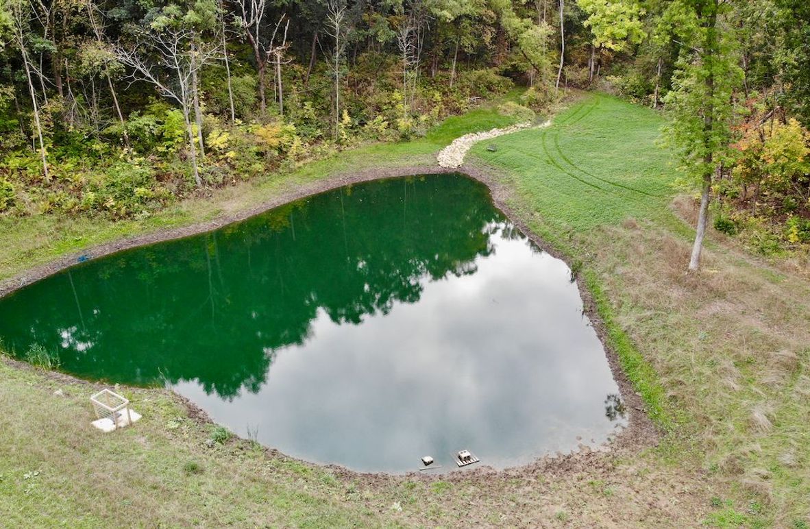 Monroe 66.23 - 3 of 46