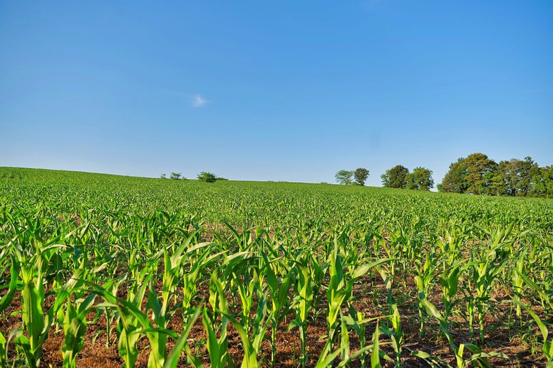 Harrison MO 480 Pro Photo_177 (10)