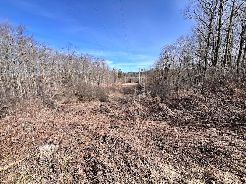 Lewis_26_Somberg Photo 14