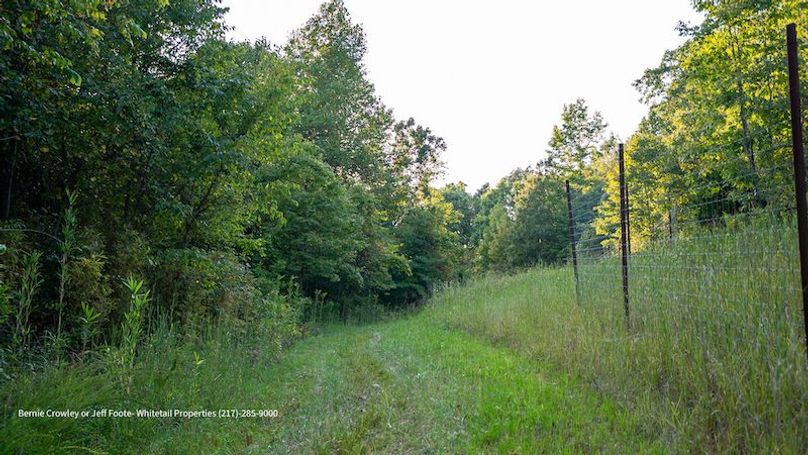 Tallahatchie 847 Messina-35