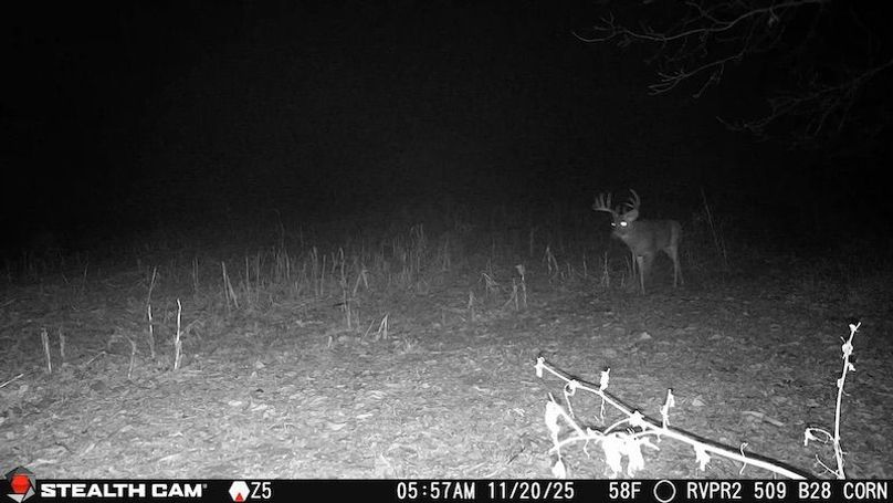 2025112005572101003889_ColorizationType.none (1)