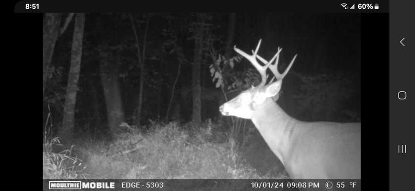 Trail Cam 5