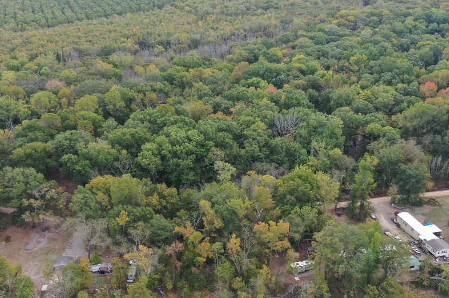 DJI_0384
