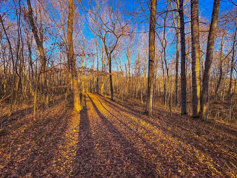 Pleasants_Wood 169.97 AC Cokeley-47