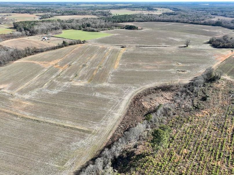 dji_fly_20260115_143742_121_1768507083656_photo