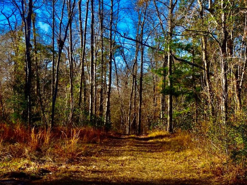 BDA19C55-4971-4C23-9D0E-11EF1217D398_1_105_c