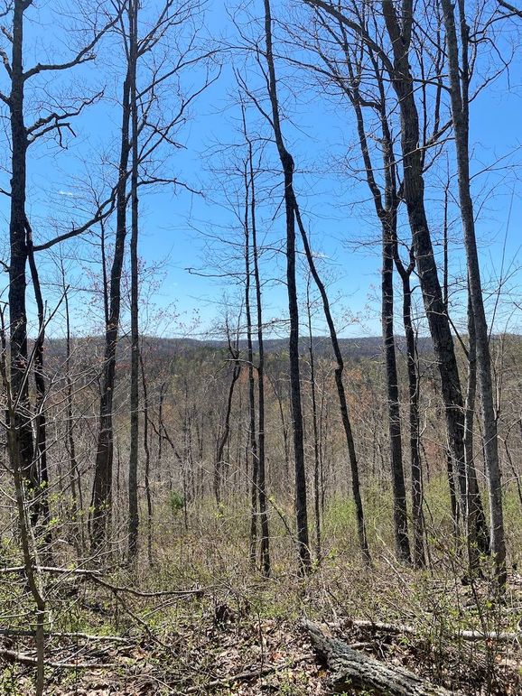 Carter Gordon 70 +_- 001