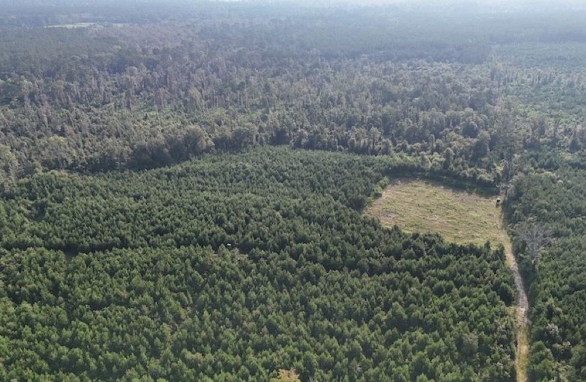 dji_fly_20250903_215758_0011_1756926962508_photo