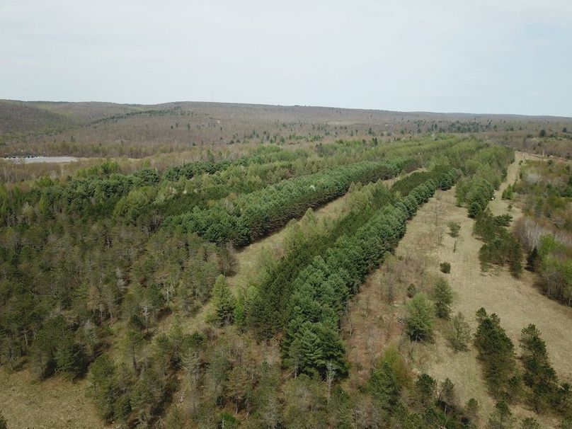 DJI_0013