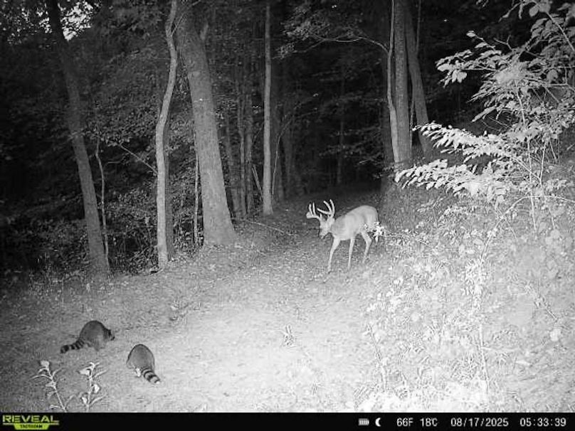 00EB0E07-DE2B-471F-AD44-AE2FBAC38857