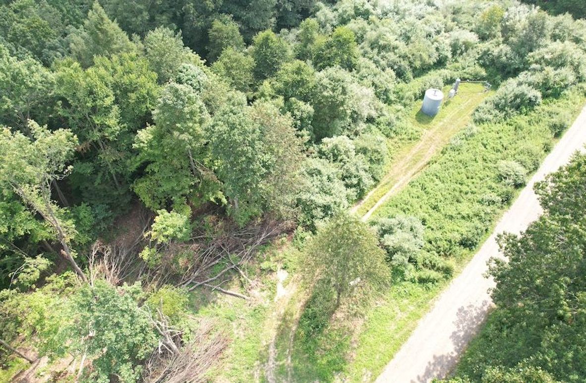 dji_fly_20250806_151812_603_1754528929225_photo