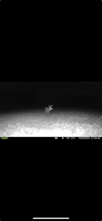 Screenshot 2026-01-06 at 4.34.36 PM