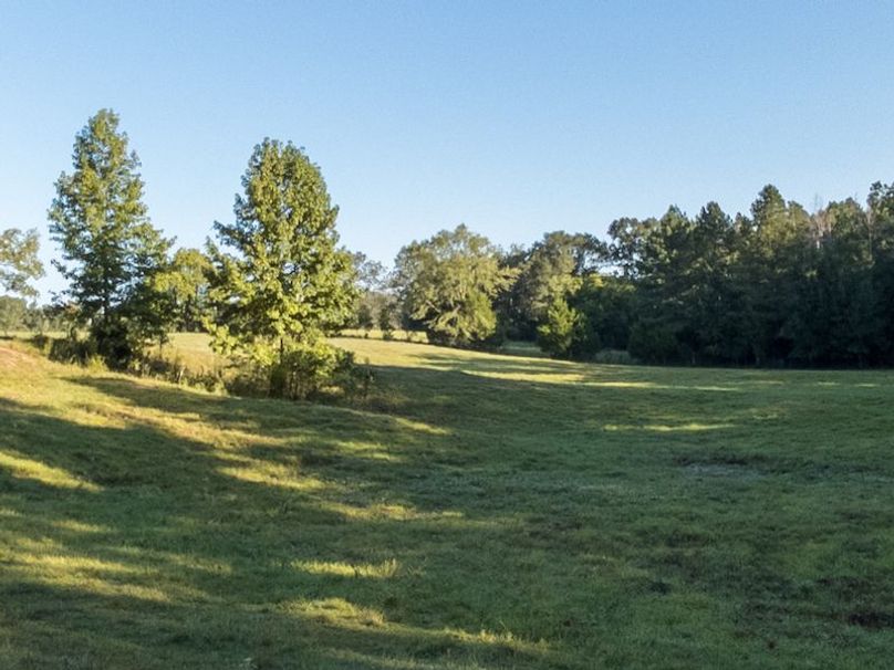 Hinds Co - 30 - Newman-14