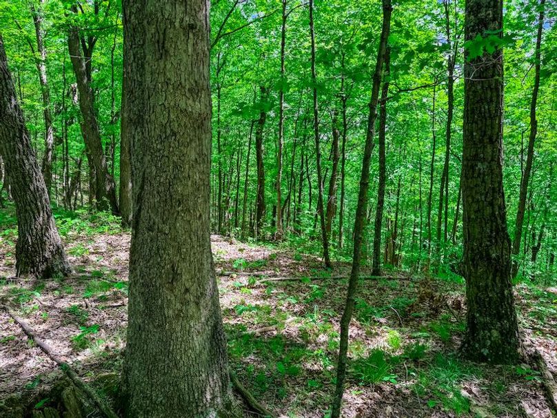 Tyler, WV 161.03 AC Fitzsimmons-093