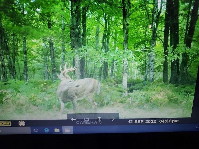 Resized_20221003_220051