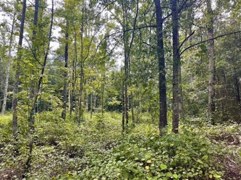 F5BA19F4-E5FA-4174-8C39-DF364C3ED0BC_4_5005_c