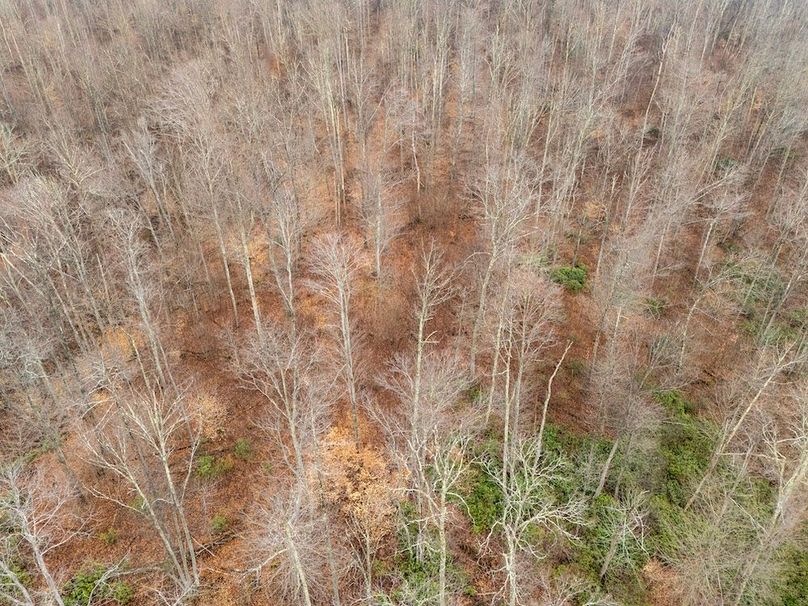 15-DJI_20260321075607_0243_D