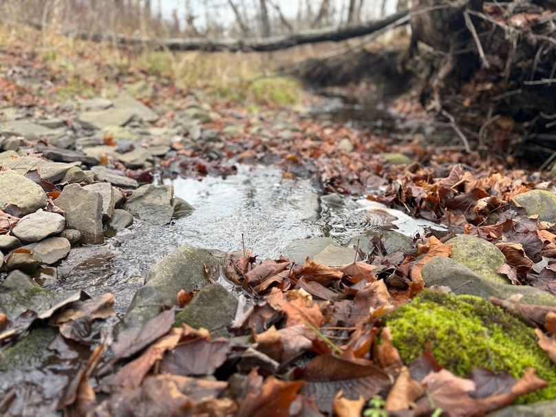 Tompkins_15.15_Galarza Photo 25