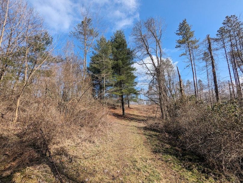 PXL_20240223_162822358