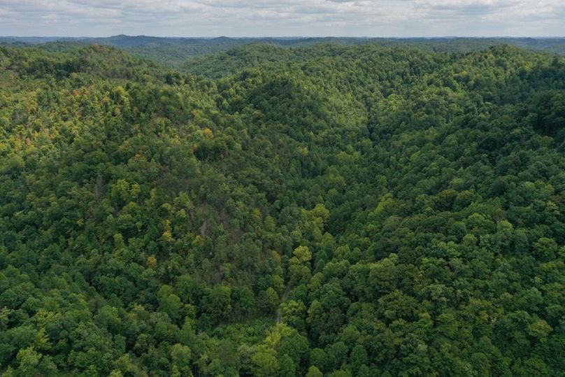 015 aerial drone shot of the north point