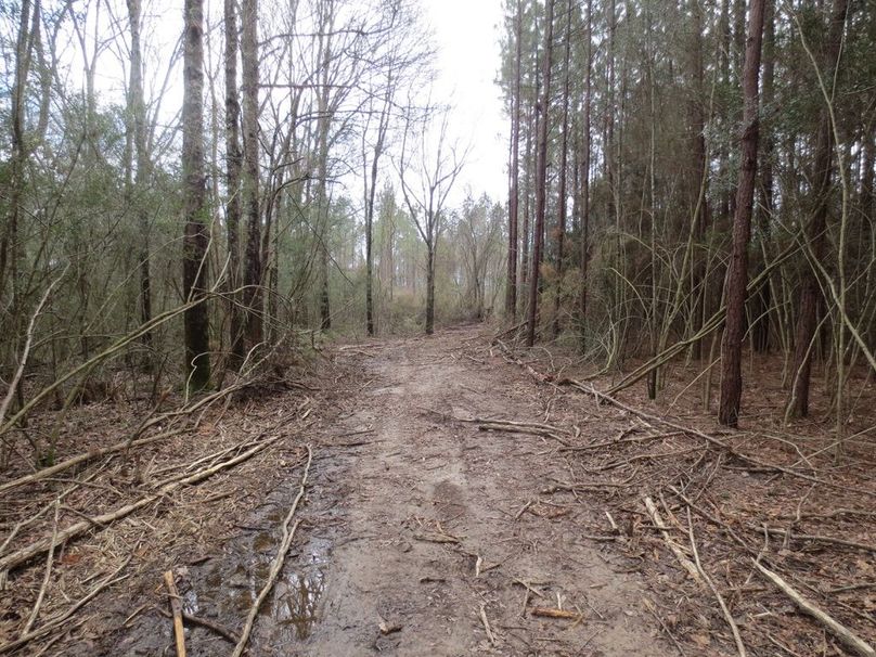 30FC7D5A-9569-4CDD-81DC-B8D42AB29E15_1_105_c