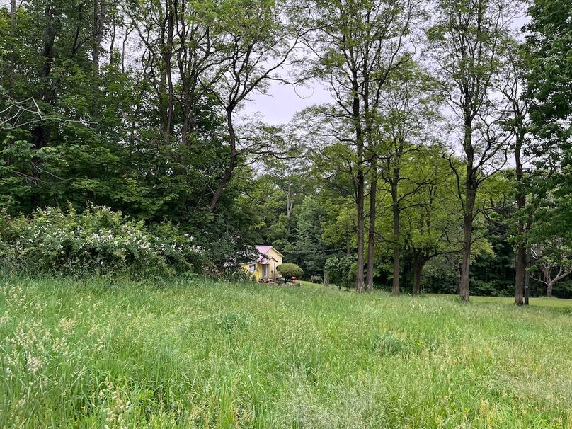 Chemung_116.3_Stamm Photo 18