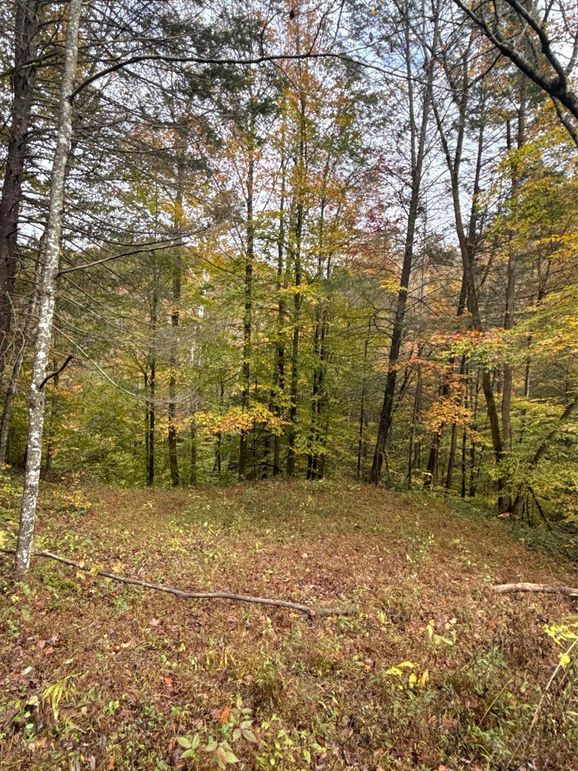 004 Flat Area for possible building for food plot-2