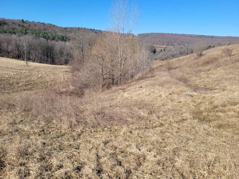 11067406-fb7qxhzjH4VV3HpX