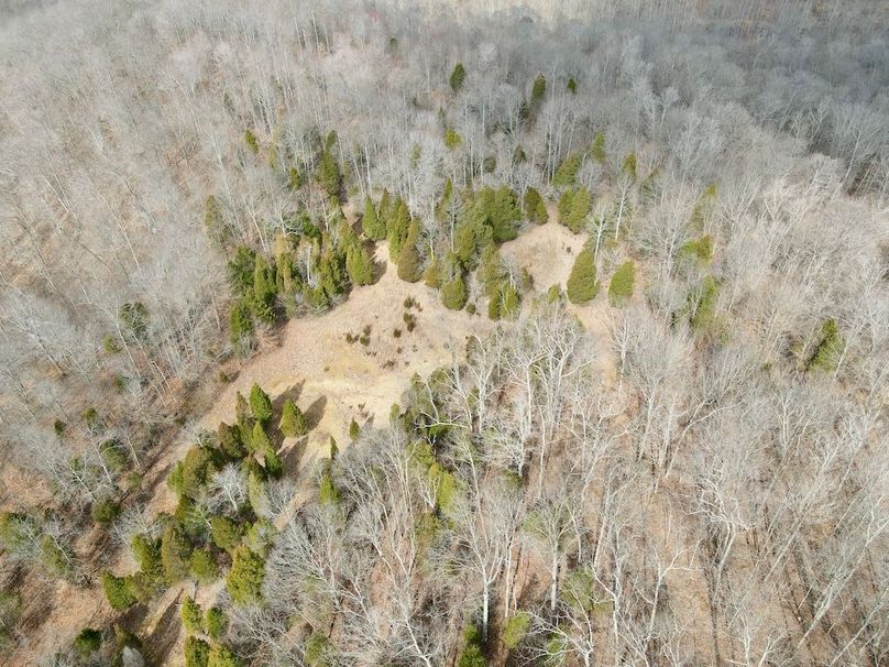 2dji_fly_20240304_113244_473_1709569981320_photo