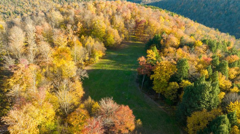 Elk PA 7000 Feature_Pro Photo-145