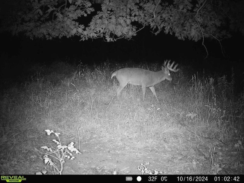 868032067297402-100-4-10162024140354-HD-SYFW7292