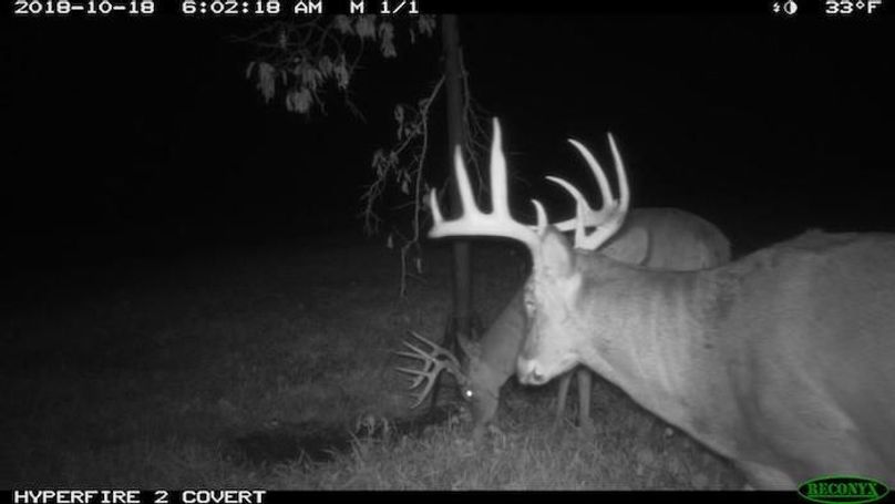 2018-10-18 06-02-18 M 1_1