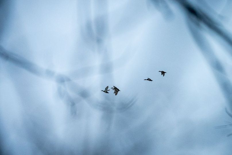 St Clair IL 263.95 Featured_Pro Photo-73