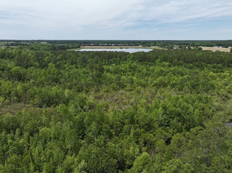 DJI_20250427122950_0048_D