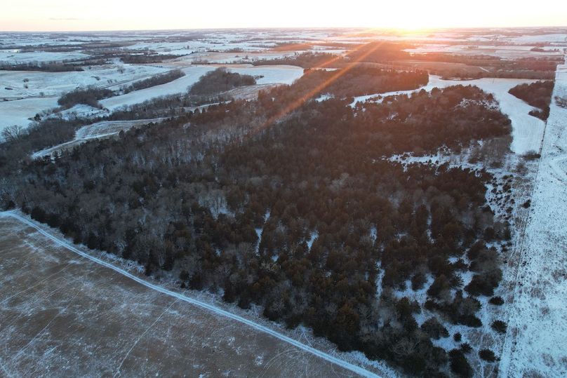 DJI_0542