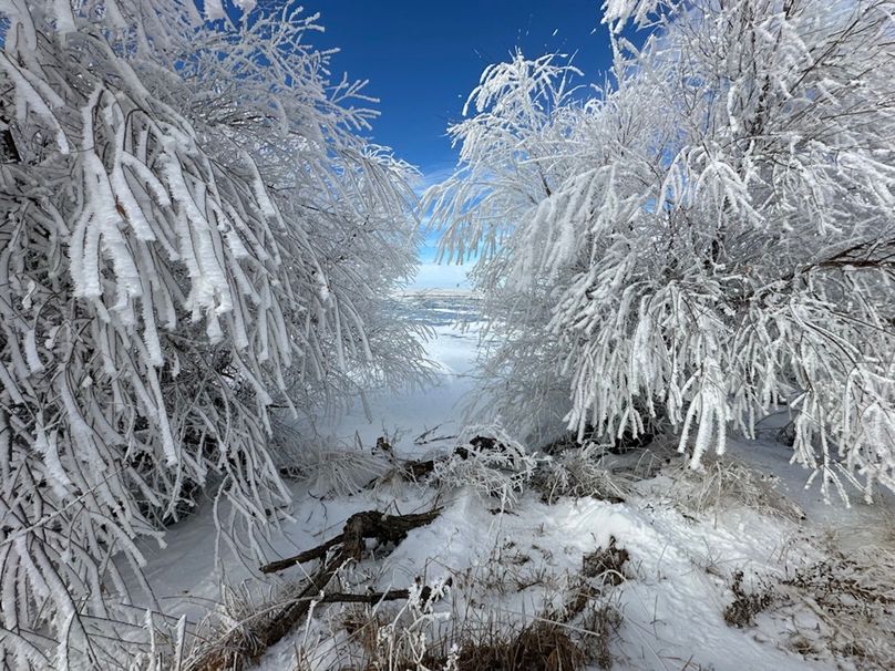 5AEAD061-E5C0-4DF8-9BCE-C0FF34ADE352_1_105_c