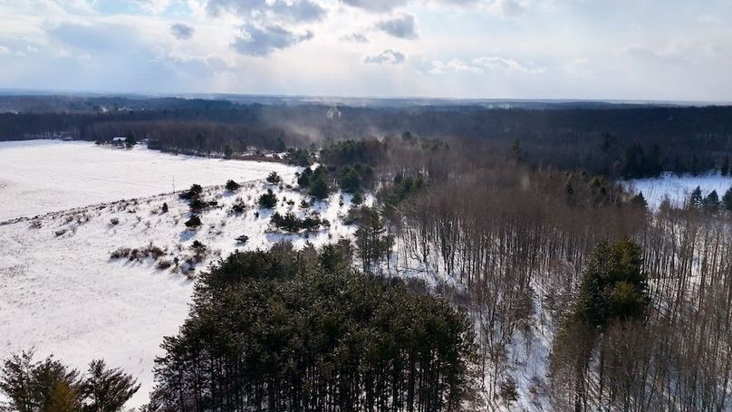 DJI_20260127103215_0166_D