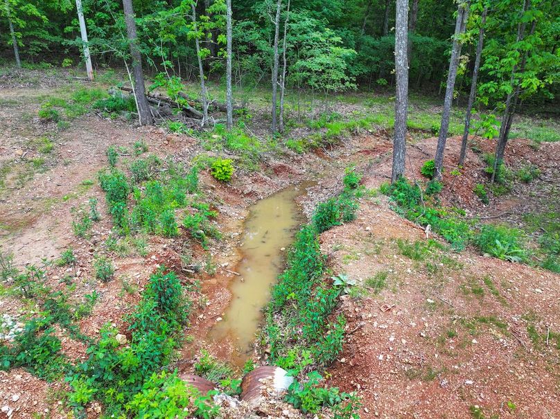 DJI_20240515140240_0019_D