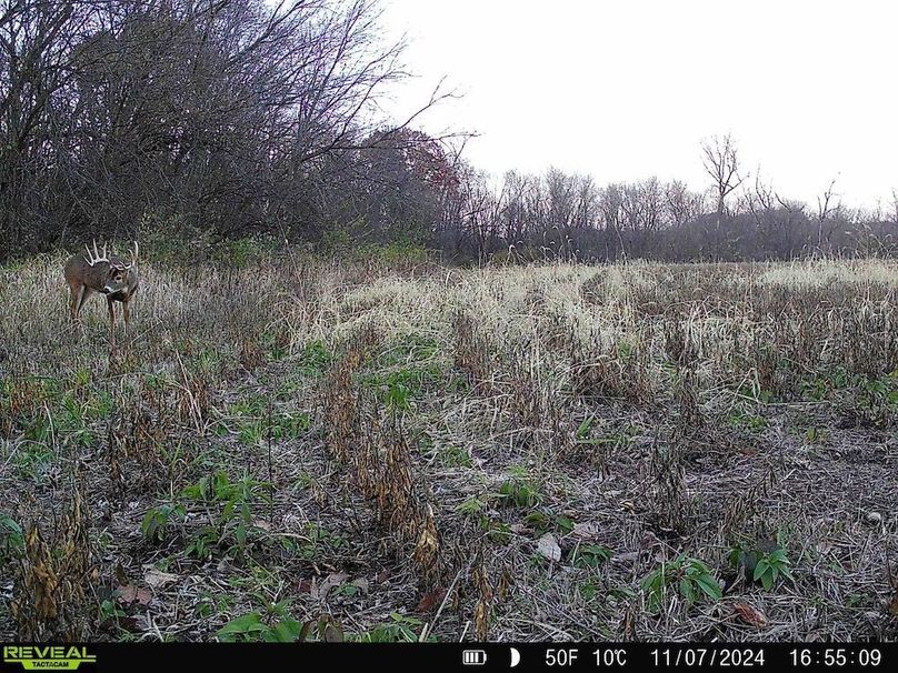 860322065657501-70-4-11082024150250-HD-SYFW6468