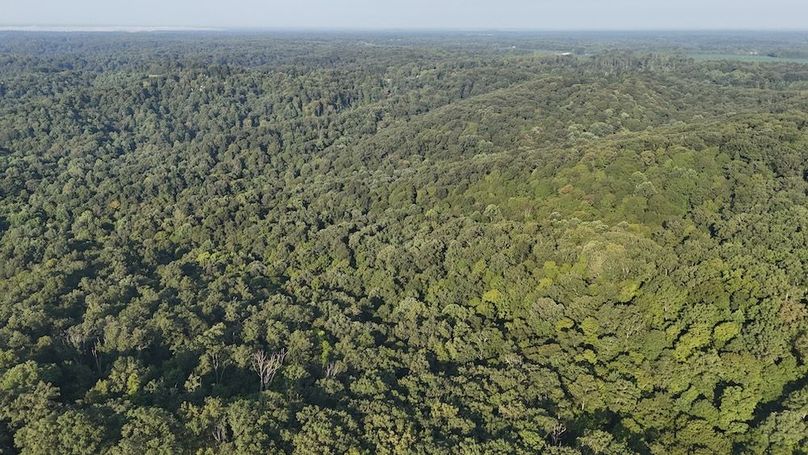 DJI_20250808085406_0716_D